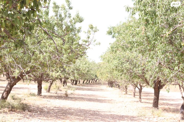 משרדים, מפעלי נחם הר טוב