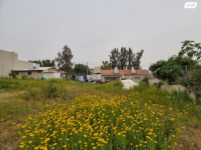 מגרשים, נווה עמל, הרצליה