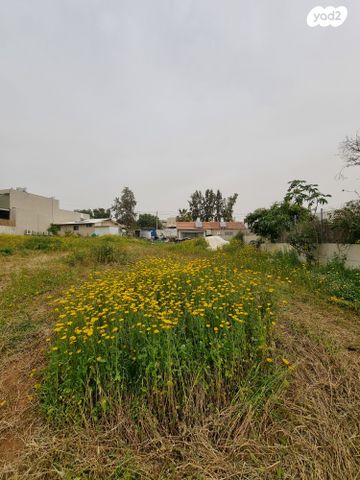 מגרשים, נווה עמל, הרצליה