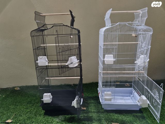 תמונת מודעה - חיות מחמד