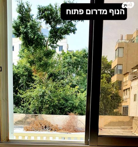 דירה, רנ"ק, הצפון הישן - צפון, תל אביב יפו