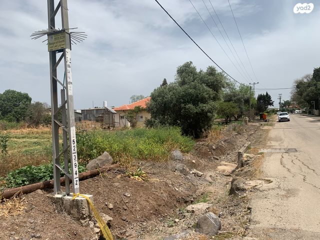 משק חקלאי/ נחלה, שרונה