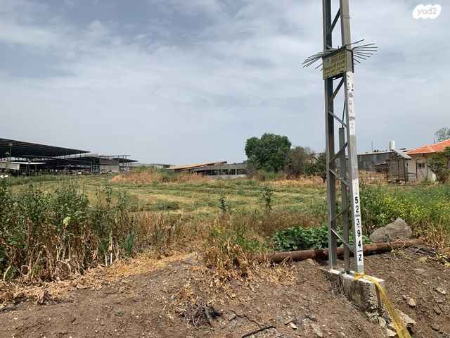 משק חקלאי/ נחלה, שרונה