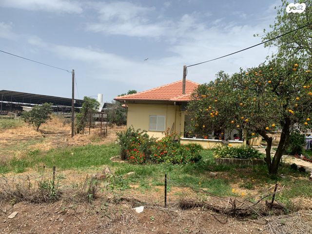 משק חקלאי/ נחלה