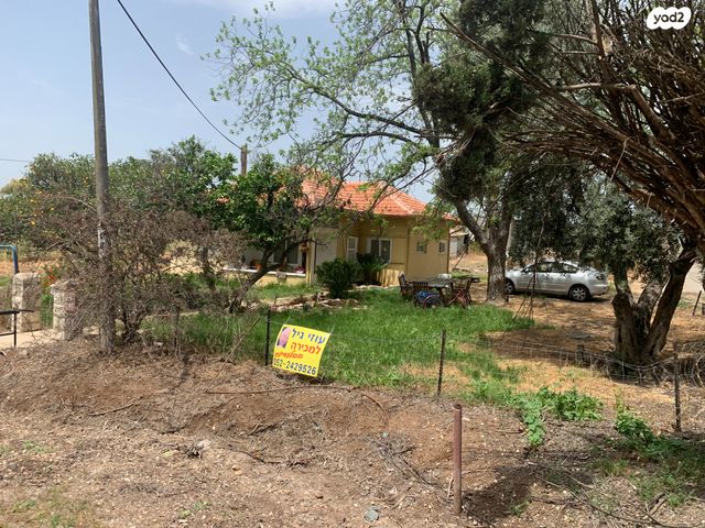 משק חקלאי/ נחלה, שרונה