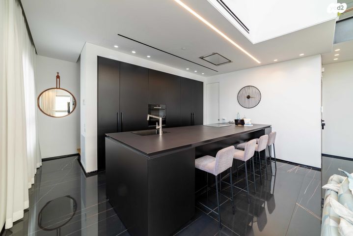 דופלקס, מאיר יערי, כוכב הצפון, תל אביב יפו