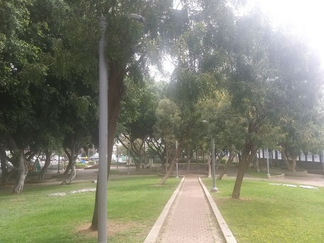 דירת גן, השופר, קרית שלום, תל אביב יפו