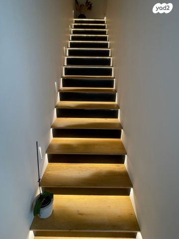 דופלקס, מאיר יערי, כוכב הצפון, תל אביב יפו