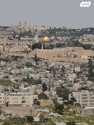 שיינקין 