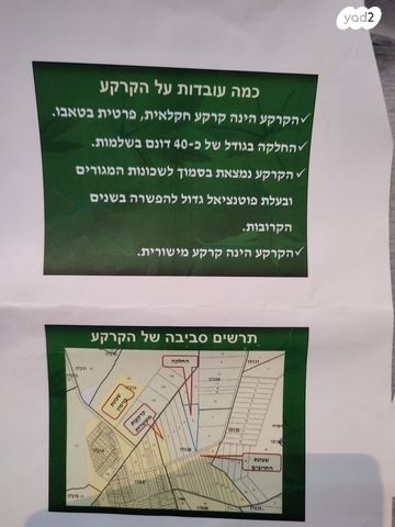 מגרשים