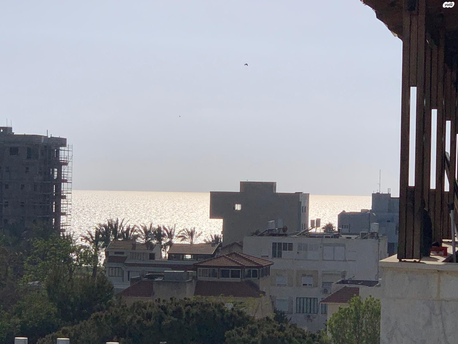 וייצמן 