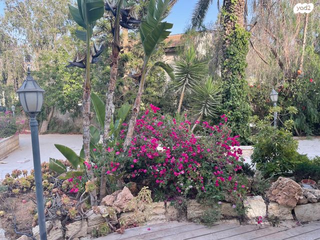 בית פרטי/ קוטג', תמר, שאר העיר, עומר