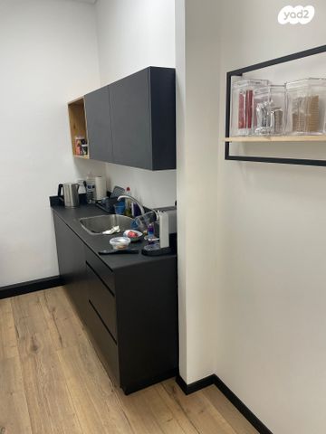 מדינת היהודים 