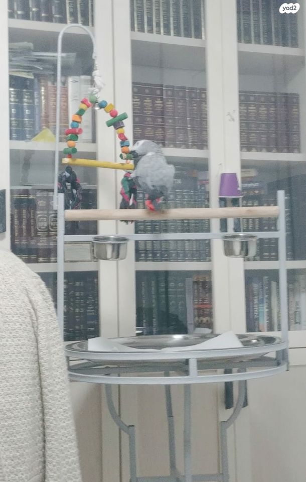 אביזרים | סטנד לתוכי