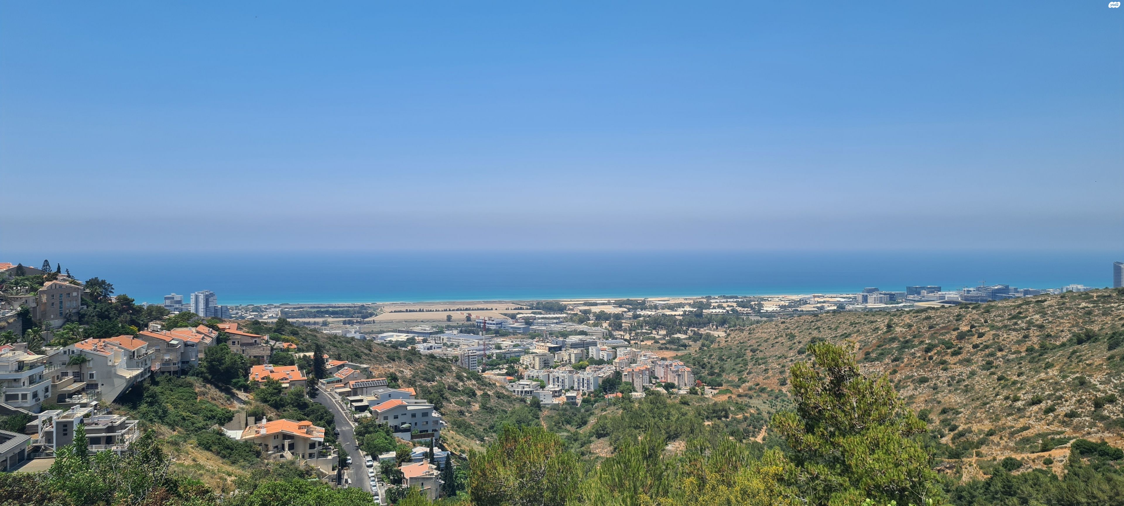 הוד הכרמל, דניה