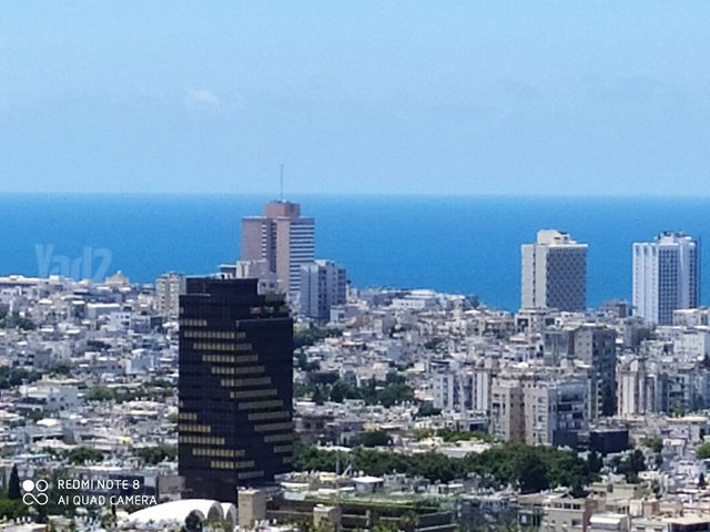 דירה להשכרה בתל אביב יפו (תיווך) — 4