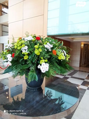 דירה, פנקס, הצפון החדש - כיכר המדינה, תל אביב יפו