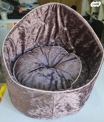 תמונת מודעה - חיות מחמד