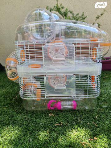 תמונת מודעה - חיות מחמד