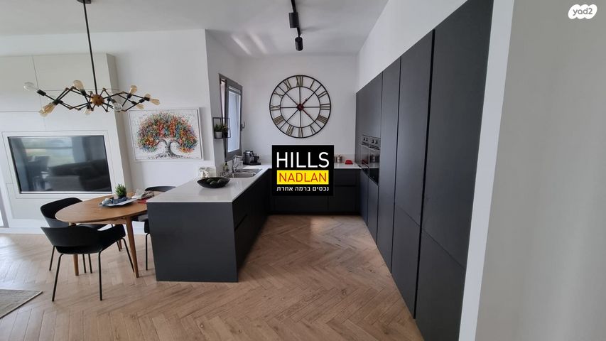 אריק איינשטיין 