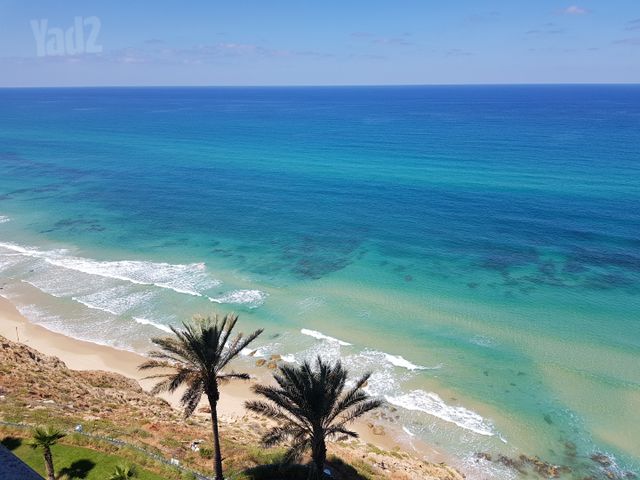 דירה
