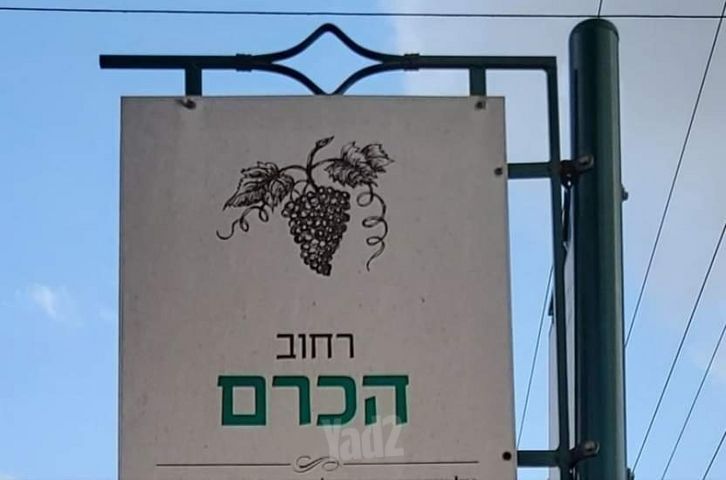 הכרם 