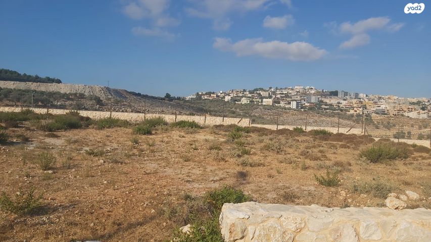 מגרשים