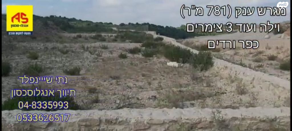 שאר העיר