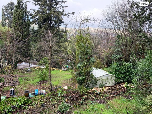 משק חקלאי/ נחלה, בית זית