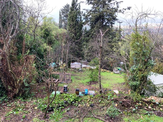 משק חקלאי/ נחלה, בית זית