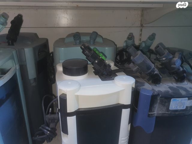 תמונת מודעה - חיות מחמד