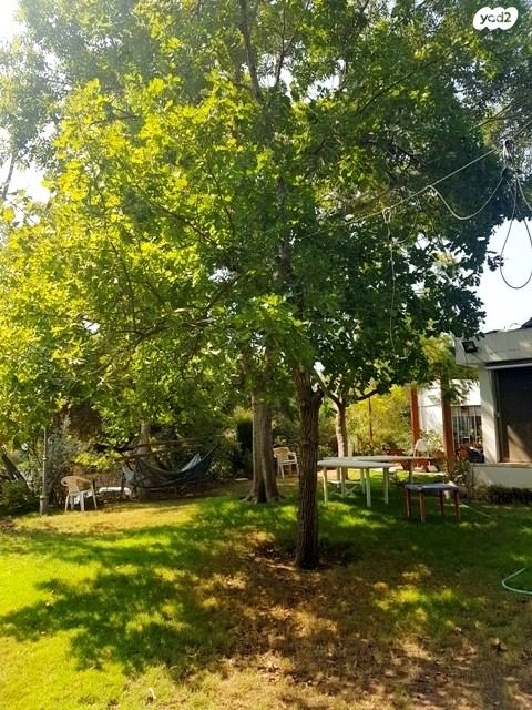 בית פרטי/ קוטג', סביון