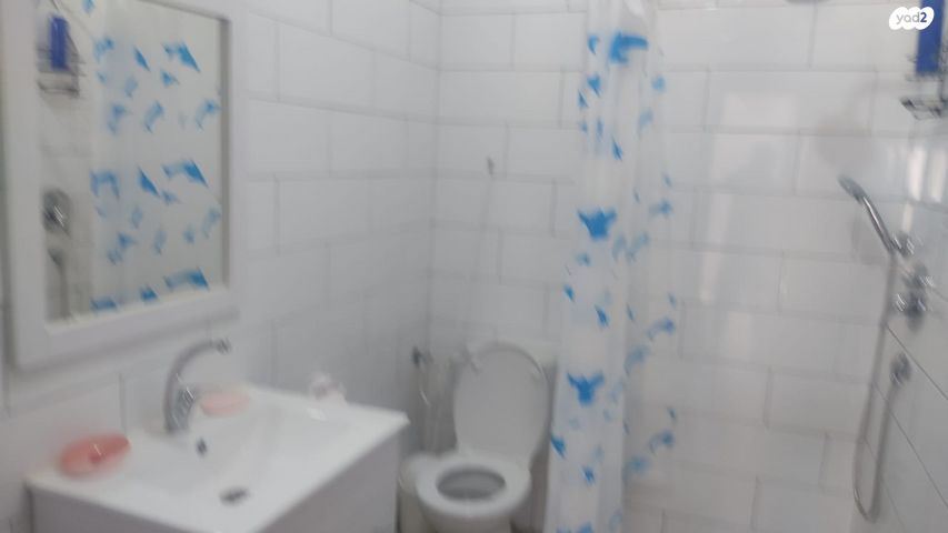 דירת גן, פקיעין חדשה