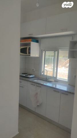 דירת גן, פקיעין חדשה