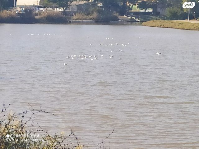 בית פרטי/ קוטג', ד"ר בודנהיימר, הצפון החדש - צפון, תל אביב יפו