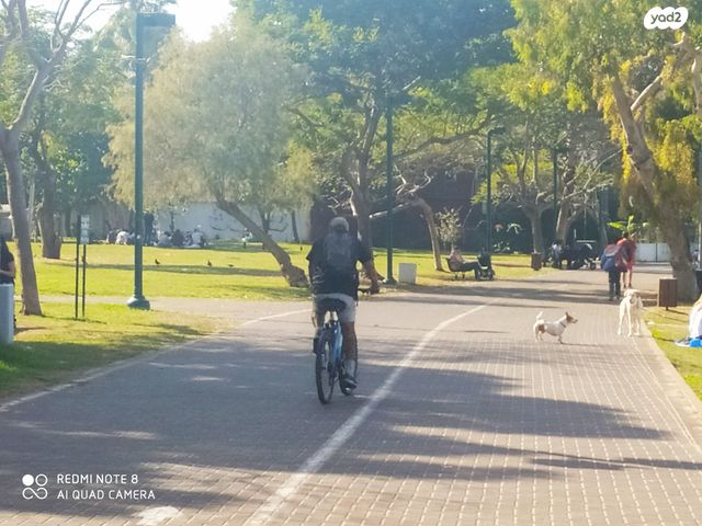 בית פרטי/ קוטג', ד"ר בודנהיימר, הצפון החדש - צפון, תל אביב יפו