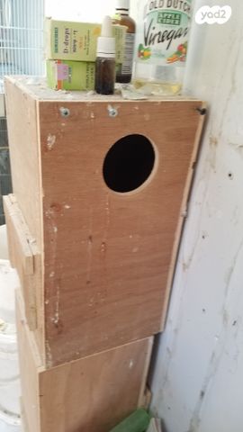 תמונת מודעה - חיות מחמד