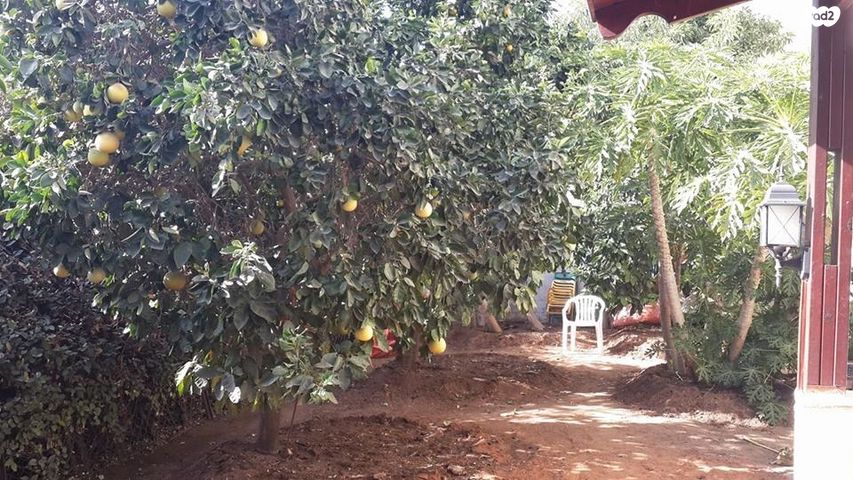 בית פרטי/ קוטג', נאות הדרים, גן יבנה