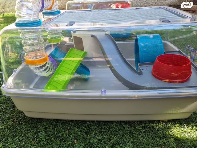 תמונת מודעה - חיות מחמד