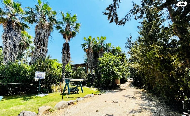 משק חקלאי/ נחלה