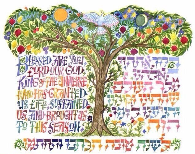 דירה, העיר העתיקה, צפת