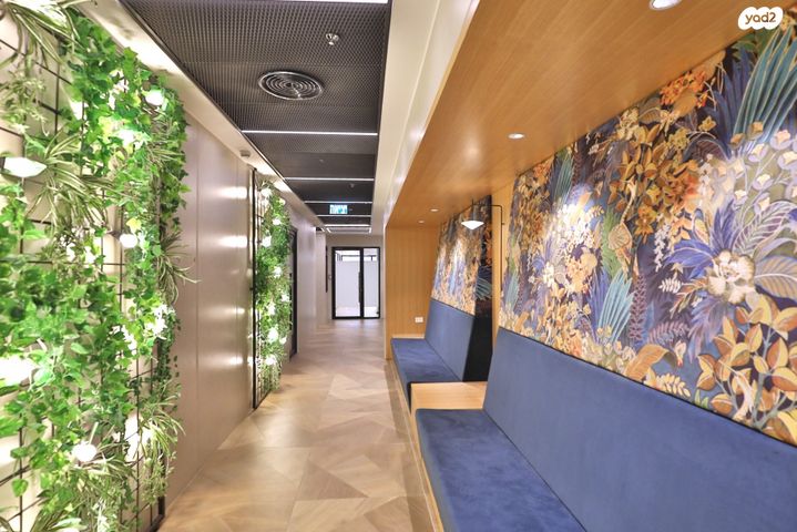 שלמה מומו הלוי 5