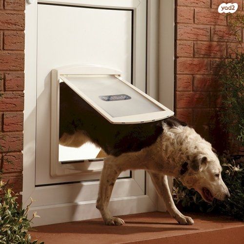 תמונת מודעה - חיות מחמד