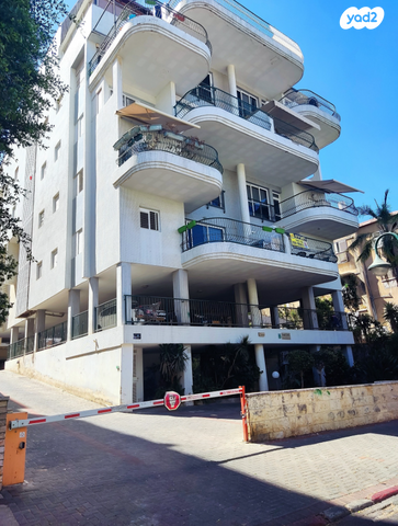 דירה, ביאליק 6, נס ציונה