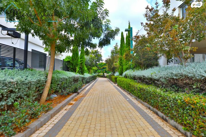 דו משפחתי, קדימה צורן