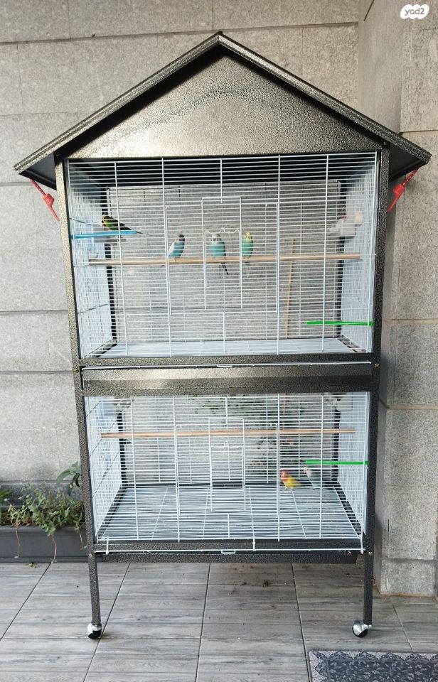 תמונת מודעה - חיות מחמד