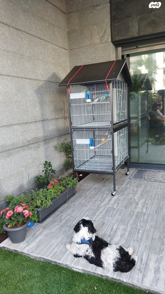 אביזרים | כלוב