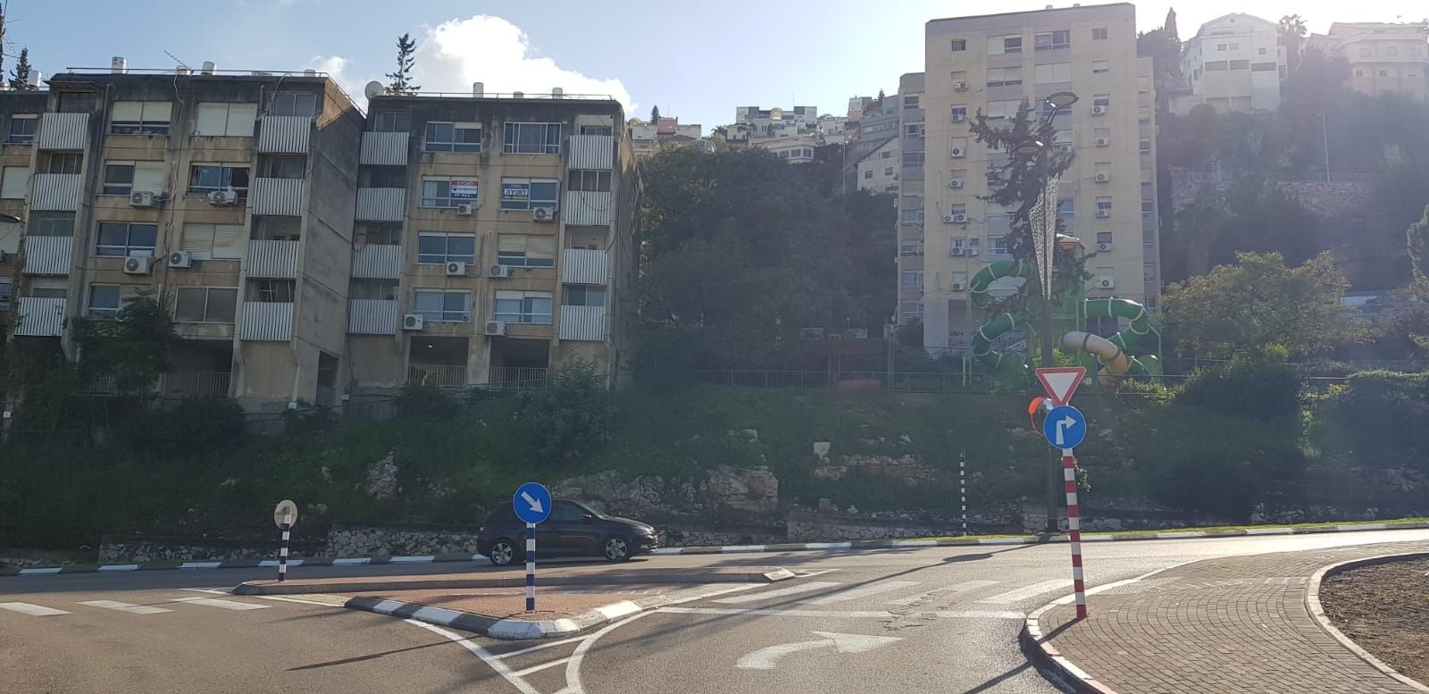 חבצלת 