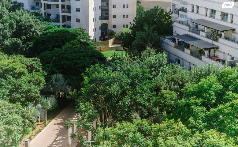 גג/ פנטהאוז, שמעון בן צבי, שטח 9, גבעתיים