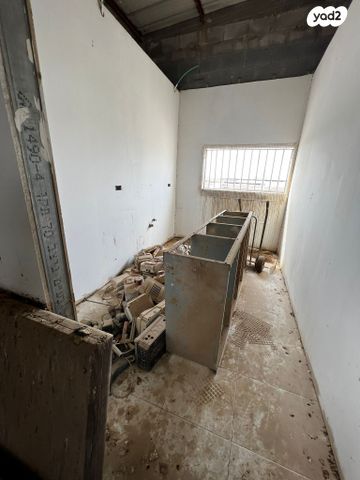 כללי, הפלס, עמק שרה, באר שבע